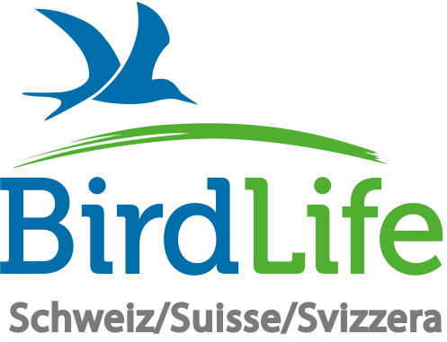 Birdlife